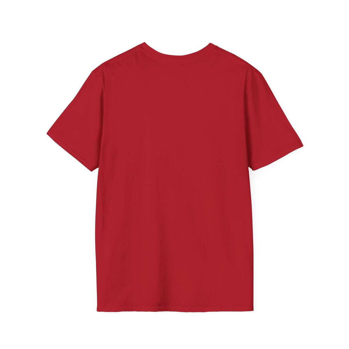 Silly little X-Ray Goose shirt