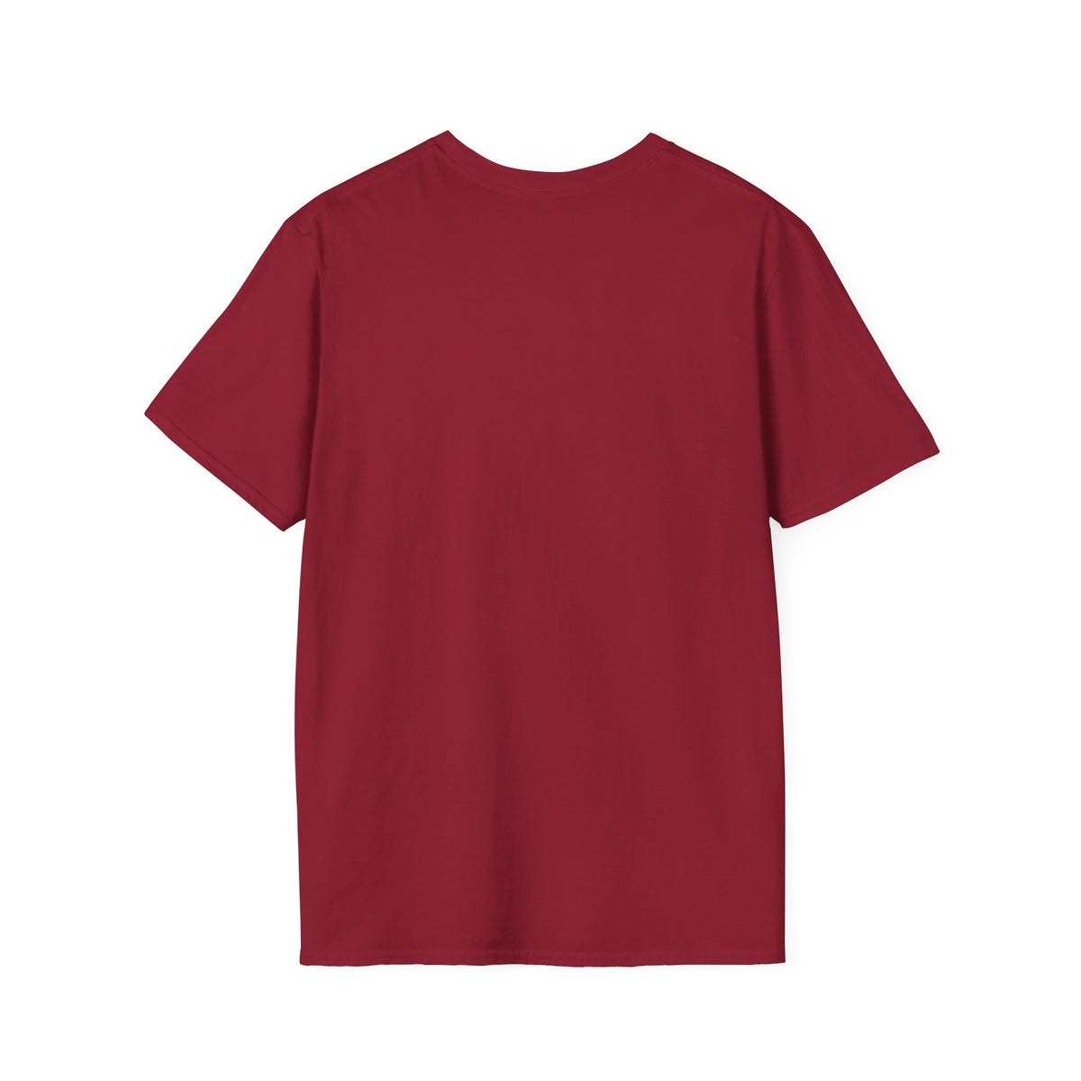 Silly little X-Ray Goose shirt