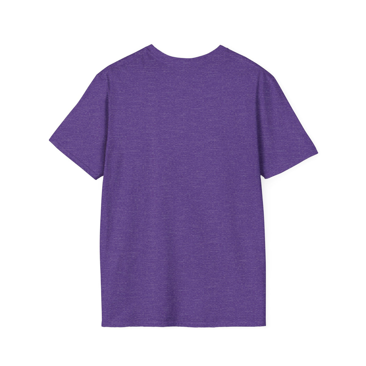 Silly little X-Ray Goose shirt